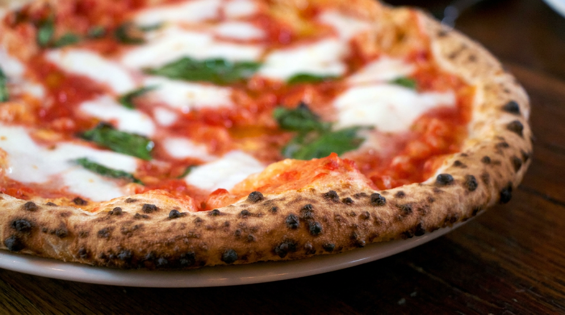 Antonio's Pizzeria Rewards